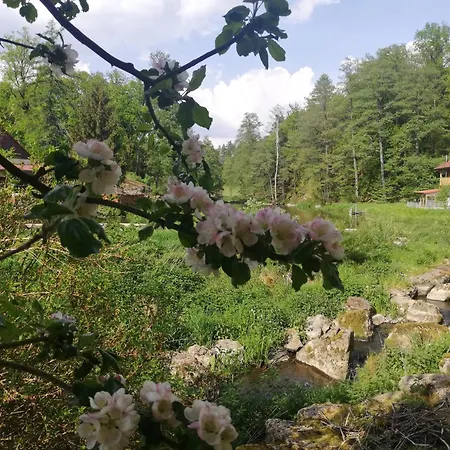 Ferienwohnung Und Sommerhaus Unter Der Burg Falkenberg  Eksteriør billede