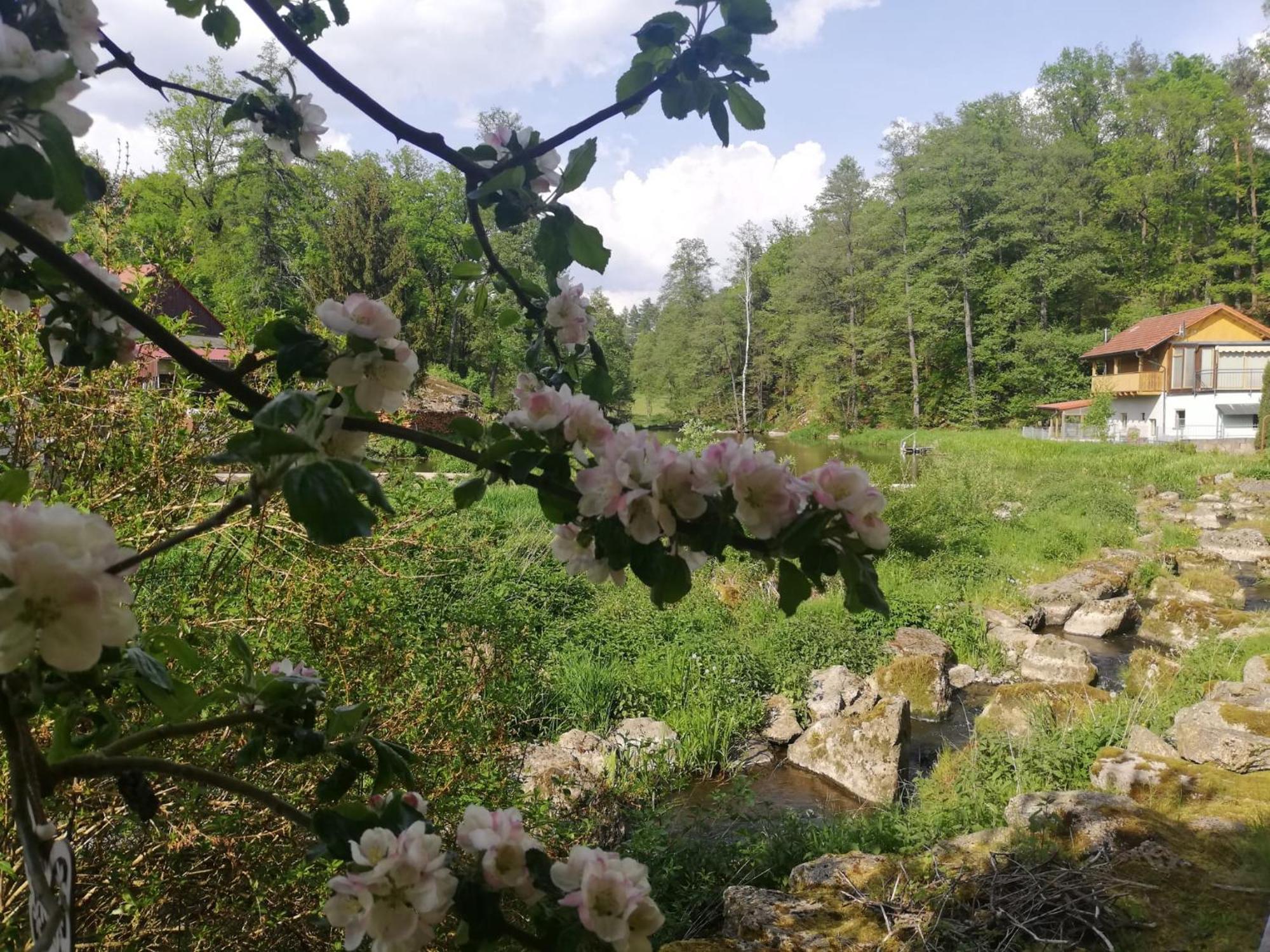 Und Sommerhaus Unter Der Burg Falkenberg (Tirschenreuth)